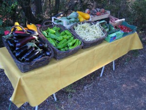 Presentation Légumes