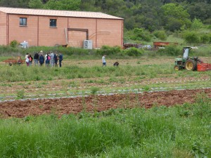 Visite du champ